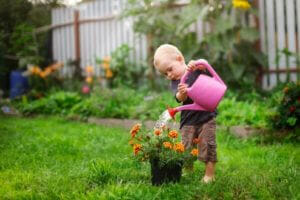 Un enfant arrosant des fleurs dans un jardin avec un bidon - Paonia Blu Particuliers anti-calcaire L'eau calcaire est bonne pour la croissance des plantes et la floraison.