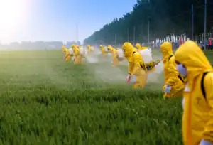 Eau en bouteille en danger
