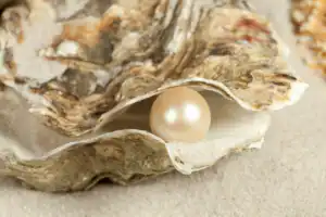 Une perle dans l’eau : l’ULF® transforme le calcaire